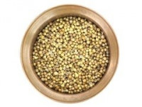 Cilantro, semilla