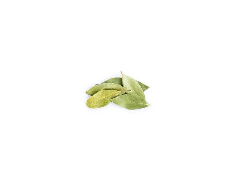 Laurel, hoja Laurel, hoja