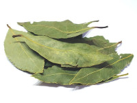 laurel-hoja