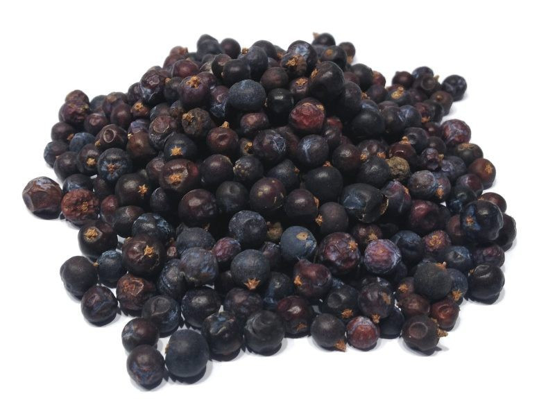 Juniper, berries Juniper, berries