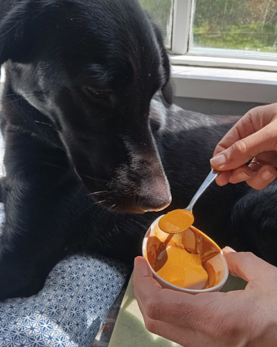greta a punto de tomar una cucharada de pasta dorada
