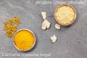 jengibre y cúrcuma