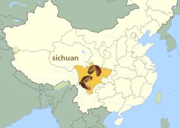 sichuan-provincia-china