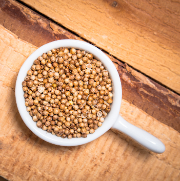 cilantro-grano-detalle-semillas