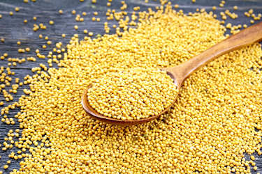 mostaza-en-grano